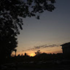 Meet your Posher, Molly